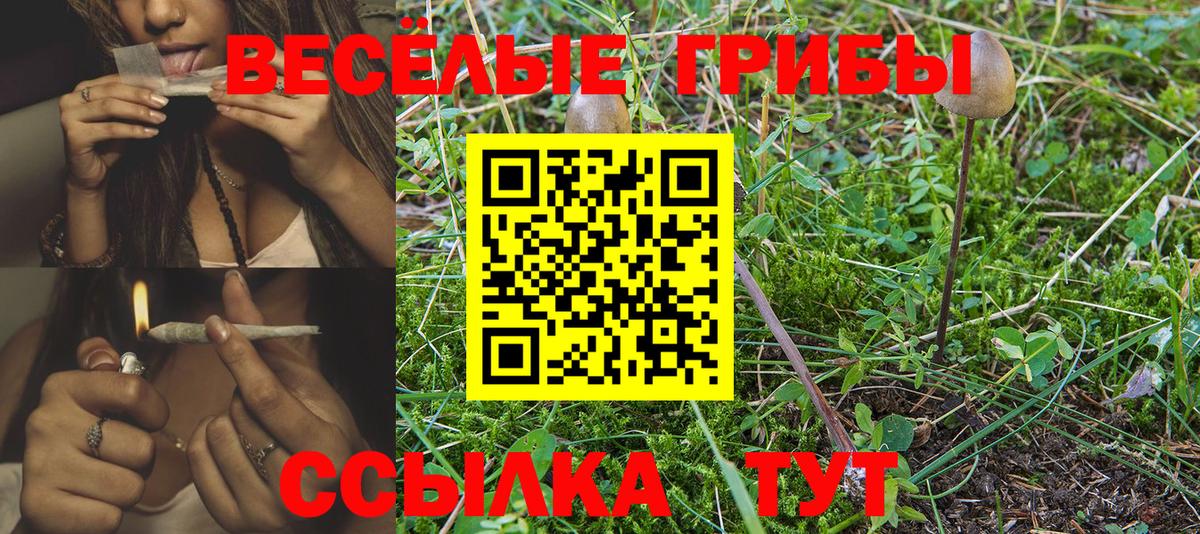 Кызыл  Галлюциногенные грибы Psilocybe  Псилоцибиновые грибы Magic Shrooms  Вход с VPN 